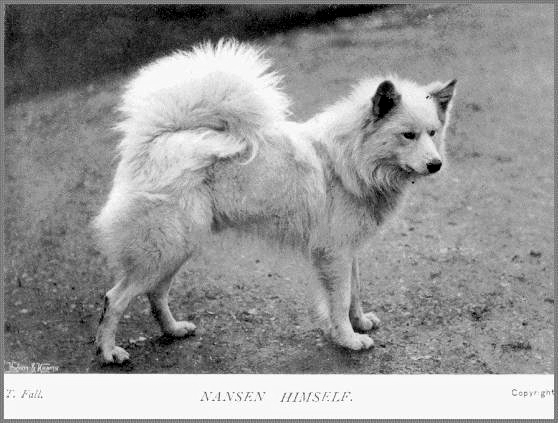 Nansen